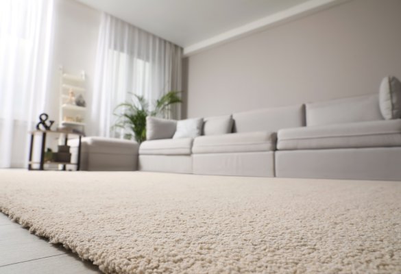 Dywan czy wykładzina? Jak wybrać rozwiązanie do przestrzeni hotelowej i apartamentowej