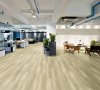 LVT KAL LAGUNA