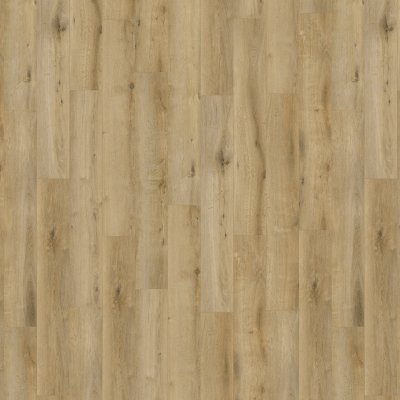 BEACH 2625