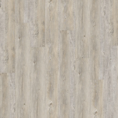 24243 COLOMBIA PINE