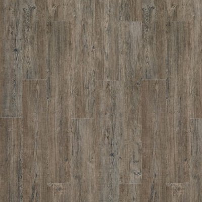 LATIN PINE 24868